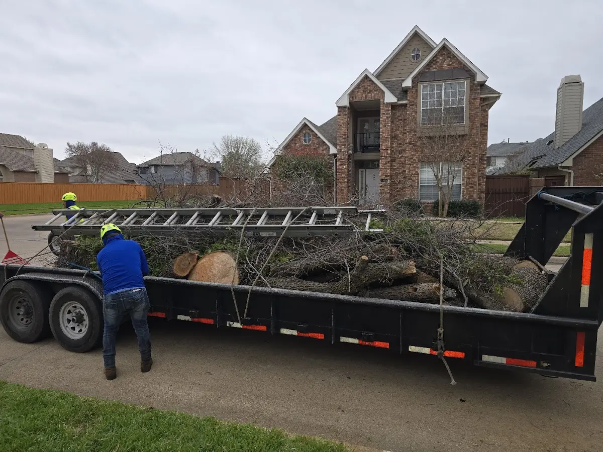 Expert Tree Removal with proper safety equipment in Channelview